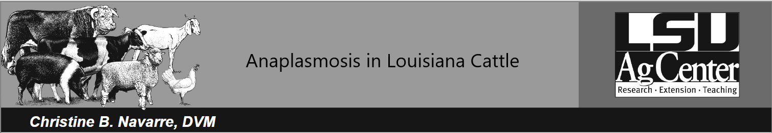 Anaplasmosis header.png thumbnail